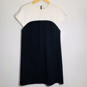 Alice and Olivia Shift Color Block Dress Size 8